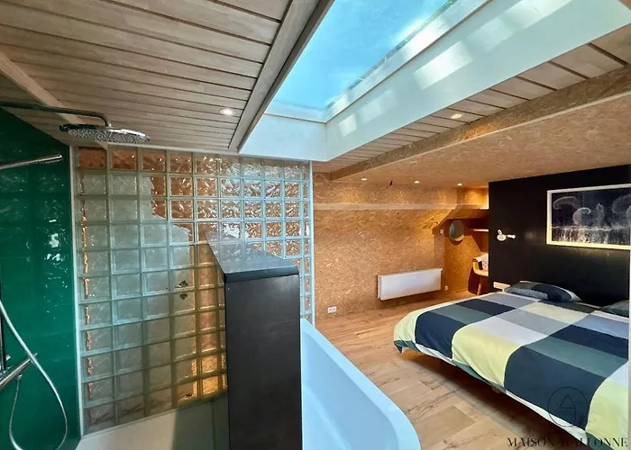 La Péniche De Santa Cruz - Sur La Meuse, Centre * Liège