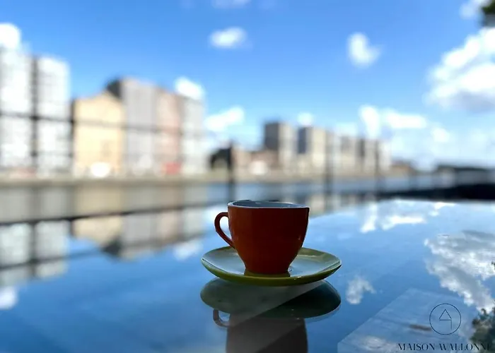 La Péniche De Santa Cruz - Sur La Meuse, Centre Liège